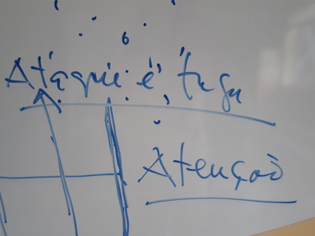 O cérebro e o reflexo do susto, uma cartografia de regina favre