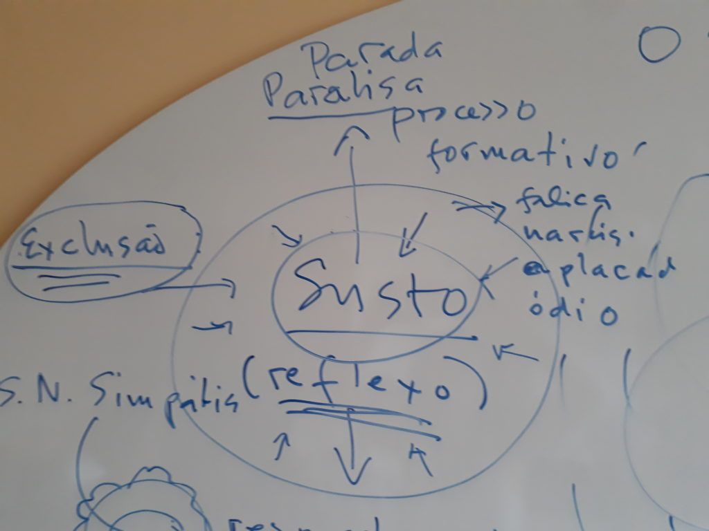 Cartografia do reflexo do susto