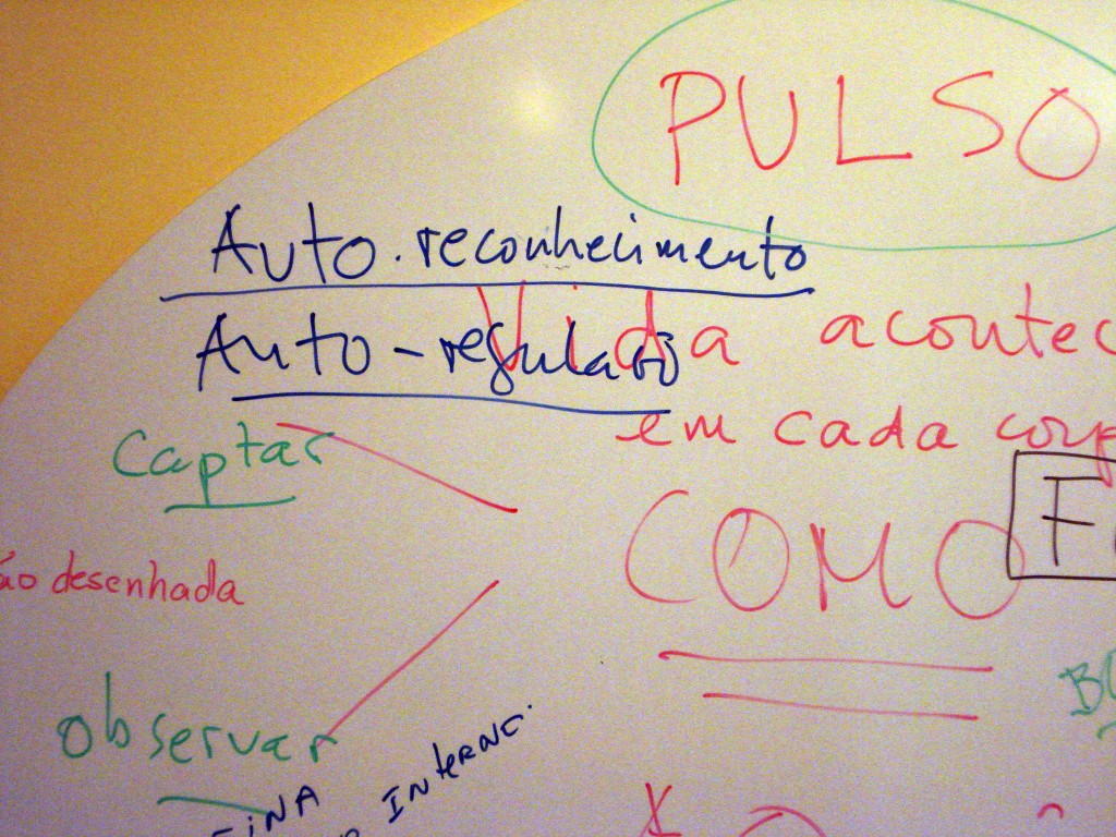 Cartografia, BS1 - pulso, auto reconhecimento, auto regulação