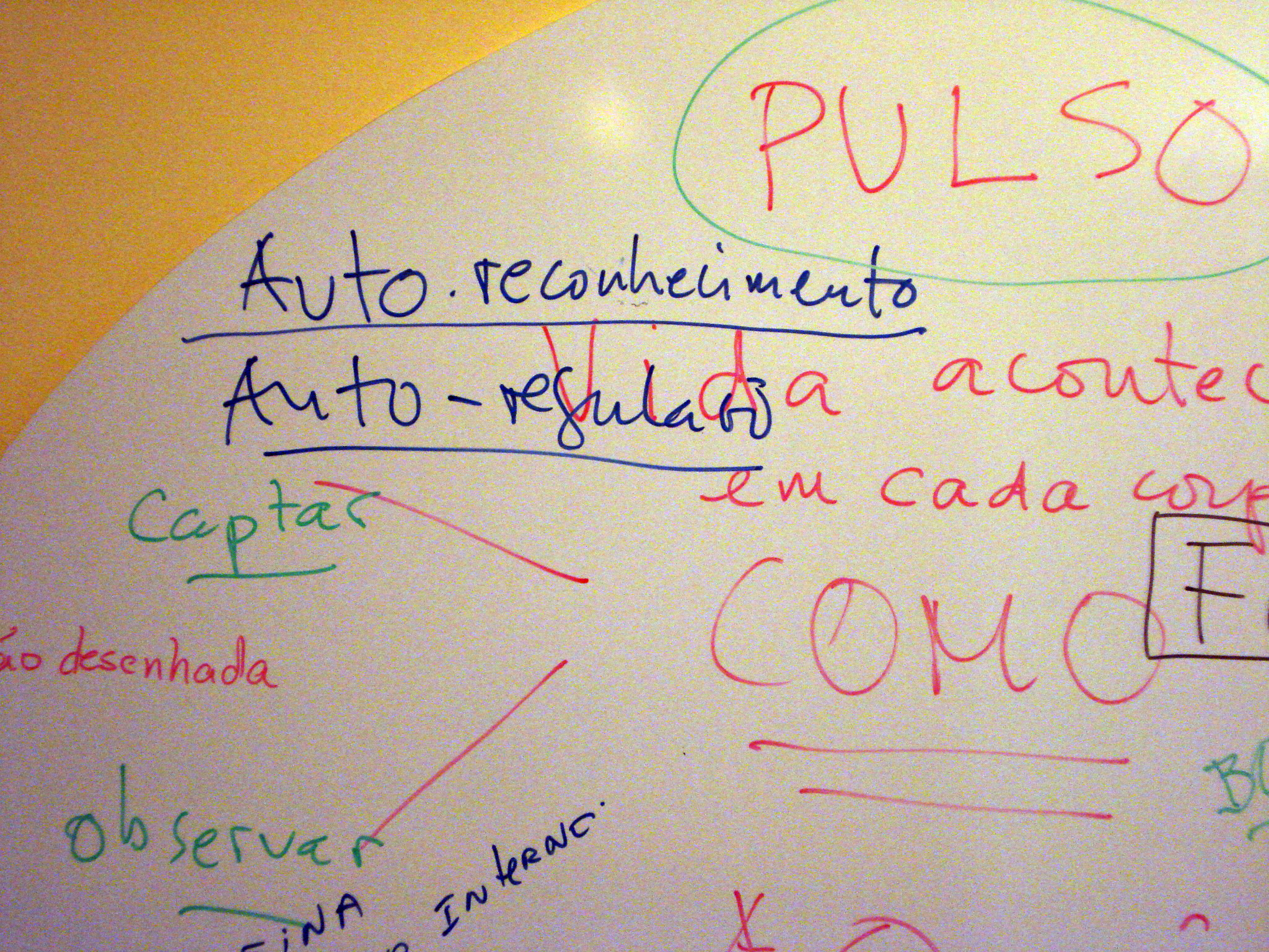 Cartografia, BS1 - pulso, auto reconhecimento, auto regulação
