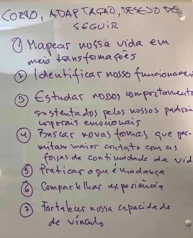 Quadro branco explica o conteúdo dos encontros "Corpo, adaptação e desejo de seguir": 
1. mapear nossa vida em meio às transformações; 
2. identificar nosso funcionamento; 
3. Estudar nossos comportamentos sustentados por nossos padrões corporais emocionais;
4. buscar novas formas que permitam maior contato com as forças da vida; 
5. Praticar o que é mudança; 
6. Compartilhar experiência; 
7. Fortalecer nossa capacidade de vínculo. 