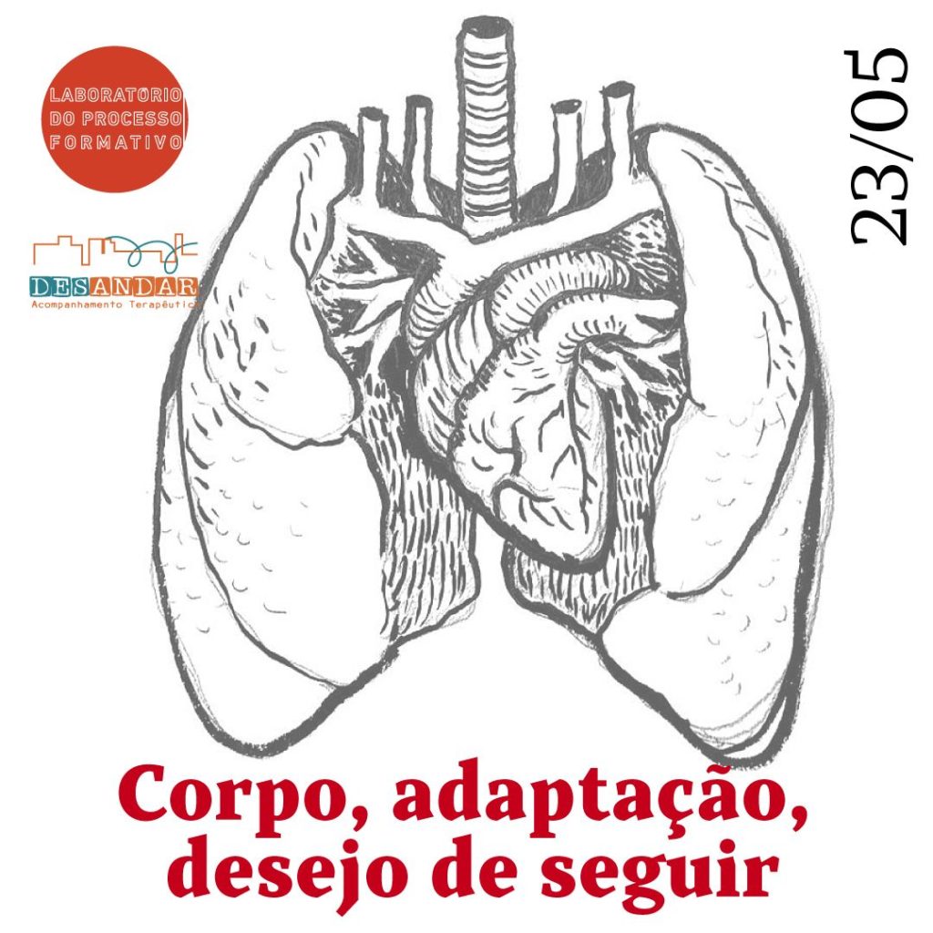 corpo, adaptação, desejo de seguir